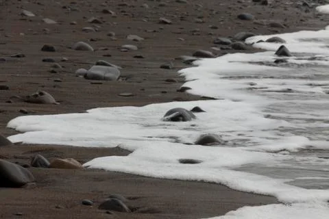 Beach Foam Foto stock