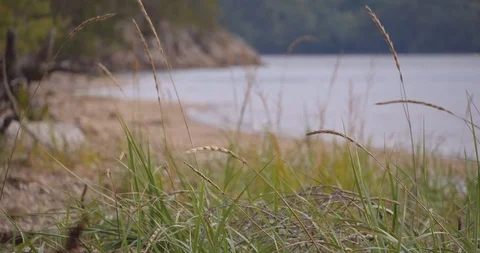 Beach focus rack boat Stock Footage 116758535