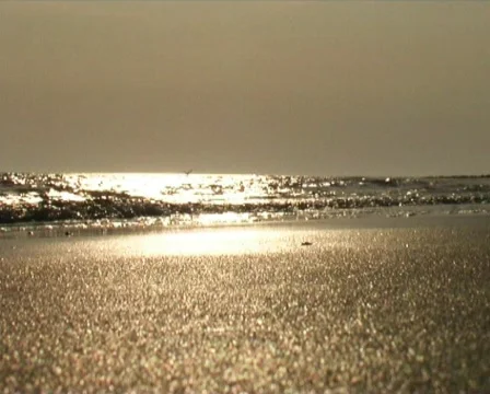 Beach Stock-Footage 88651
