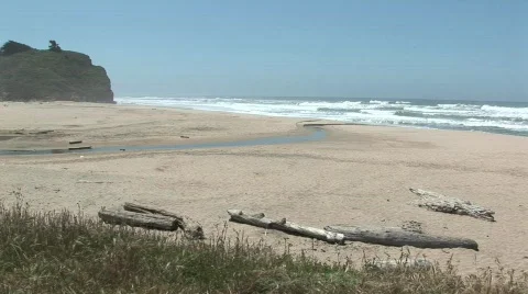 Beach 스톡 동영상 154390