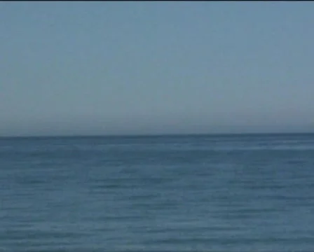 Beach Stock Footage 559699