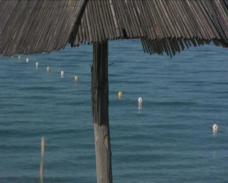 Beach Stock Footage 560365