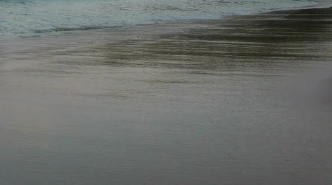 Beach  Stock Footage 692727