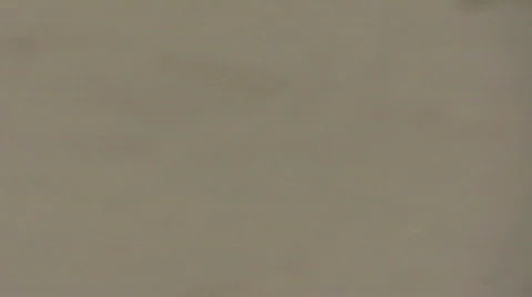 Beach Stock Footage 699114