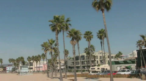 Beach Stock Footage 699129