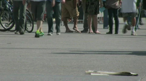 Beach Stock Footage 699173