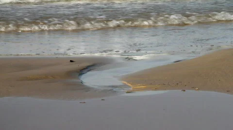 Beach Stock Footage 750739