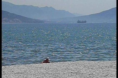 Beach Video stock 756814