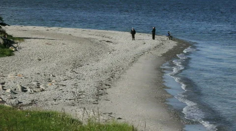 Beach Stock Footage 768730