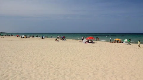 Beach Stock Footage 771854