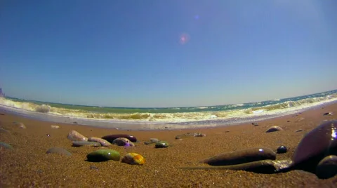 Beach Video stock 835445