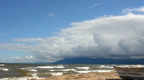 Beach Stock Footage 7740529