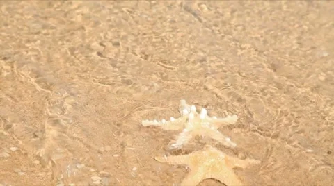 Beach Stock Footage