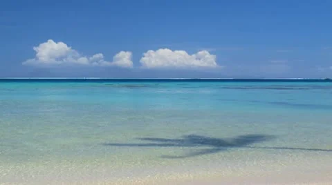 Beach Stock Footage 8952010