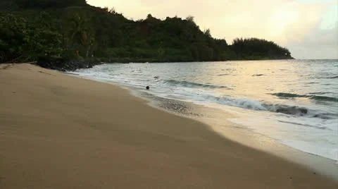 Beach Stock Footage 9455426