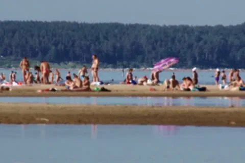 Beach Stock Footage 10609859