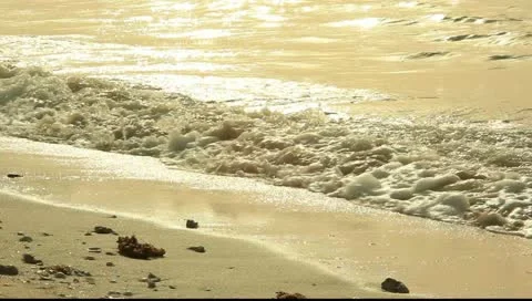 BEACH Stock Footage 10887260