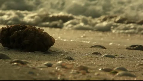 BEACH Stock Footage 10887547