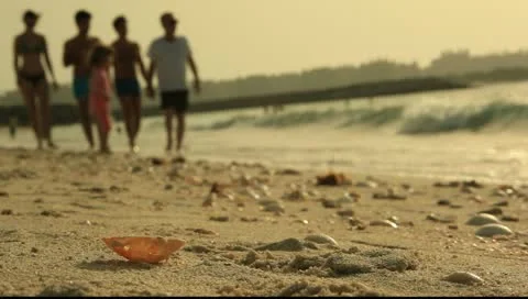 BEACH Stock Footage 10887608