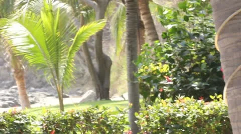 Beach Stock Footage 11629038