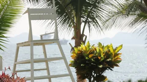 Beach Stock Footage 11629086