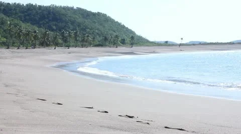 Beach Stock Footage 11629155