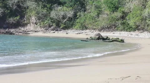 Beach Stock Footage 11629183