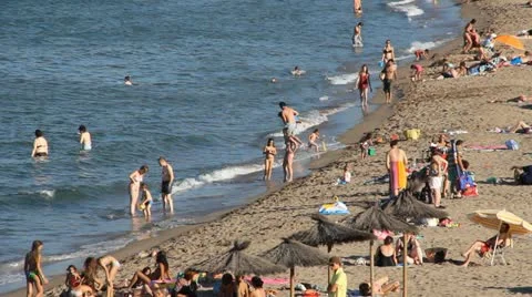 Beach Stock-Footage 11931972