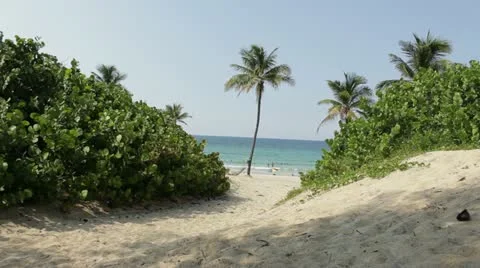 Beach Stock Footage 12184917