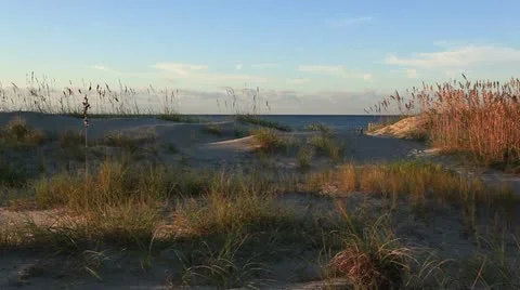By the beach Video stock 12320851