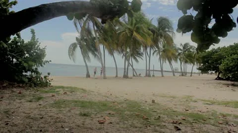 Beach Stock Footage 12366269