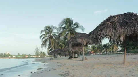 Beach Stock Footage 12366274