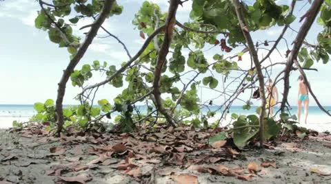 Beach Stock Footage 12366286