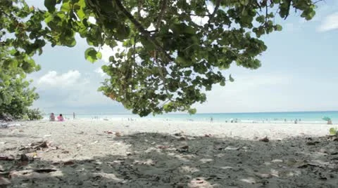 Beach Stock Footage 12366304