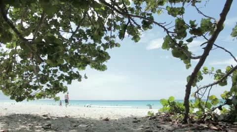 Beach Stock Footage 12366316