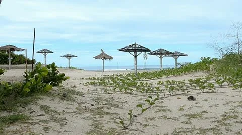 Beach Stock Footage