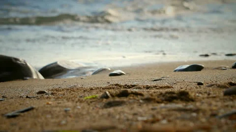 Beach Stock Footage 25541102