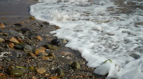 Beach Stock Footage 25583424