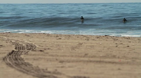 Beach Stock Footage 46806834