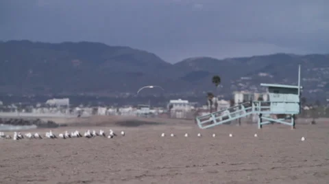 Beach Stock Footage 46808874