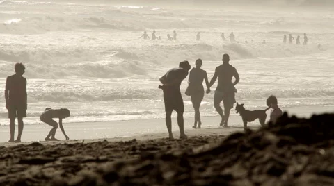 Beach Stock Footage 59839028