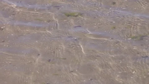 On the beach Stock Footage 78137349