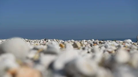 Beach Stock Footage 78326593