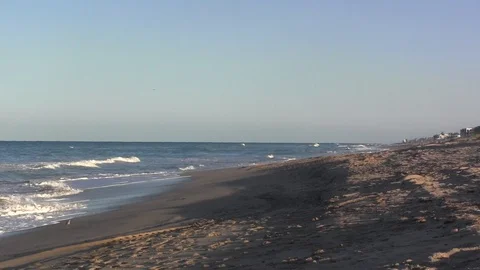 Beach Stock Footage 88705600