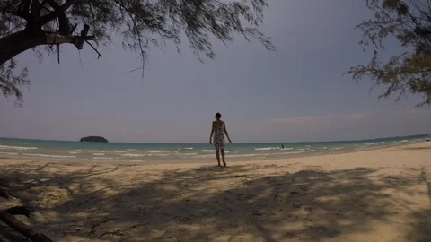 Beach Stock Footage 89506452