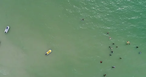 At the Beach Stock Footage 92001342