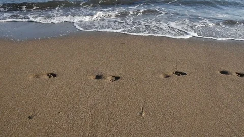 Beach Stock Footage 95430777