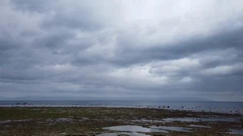 Beach Stock Footage 101688670