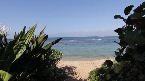 To The Beach Stock Footage 104707070