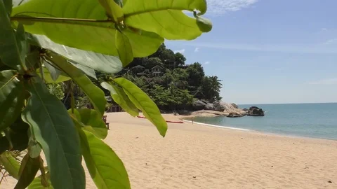 Beach Stock Footage 112345210